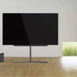 Loewe bild s.97 TV 2