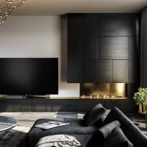 Loewe bild s.97 TV 1