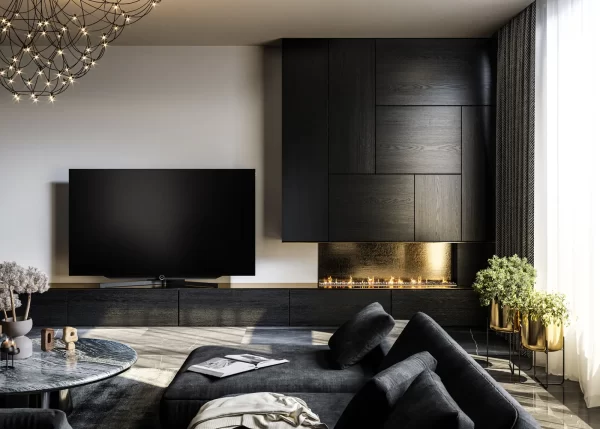 Loewe bild s.97 TV 1