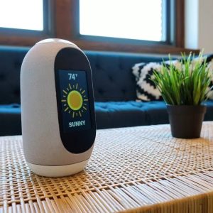 Smart Home Assistants 3