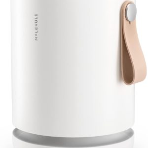 Molekule Air Purifier Mini+ - Purifies Rooms Up to 250 Sq Ft - Smart Purifier with High Pollutant Capture Rate - Air Quality Monitoring Capabilities - White